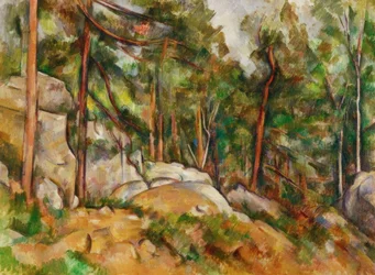 Forest Interior